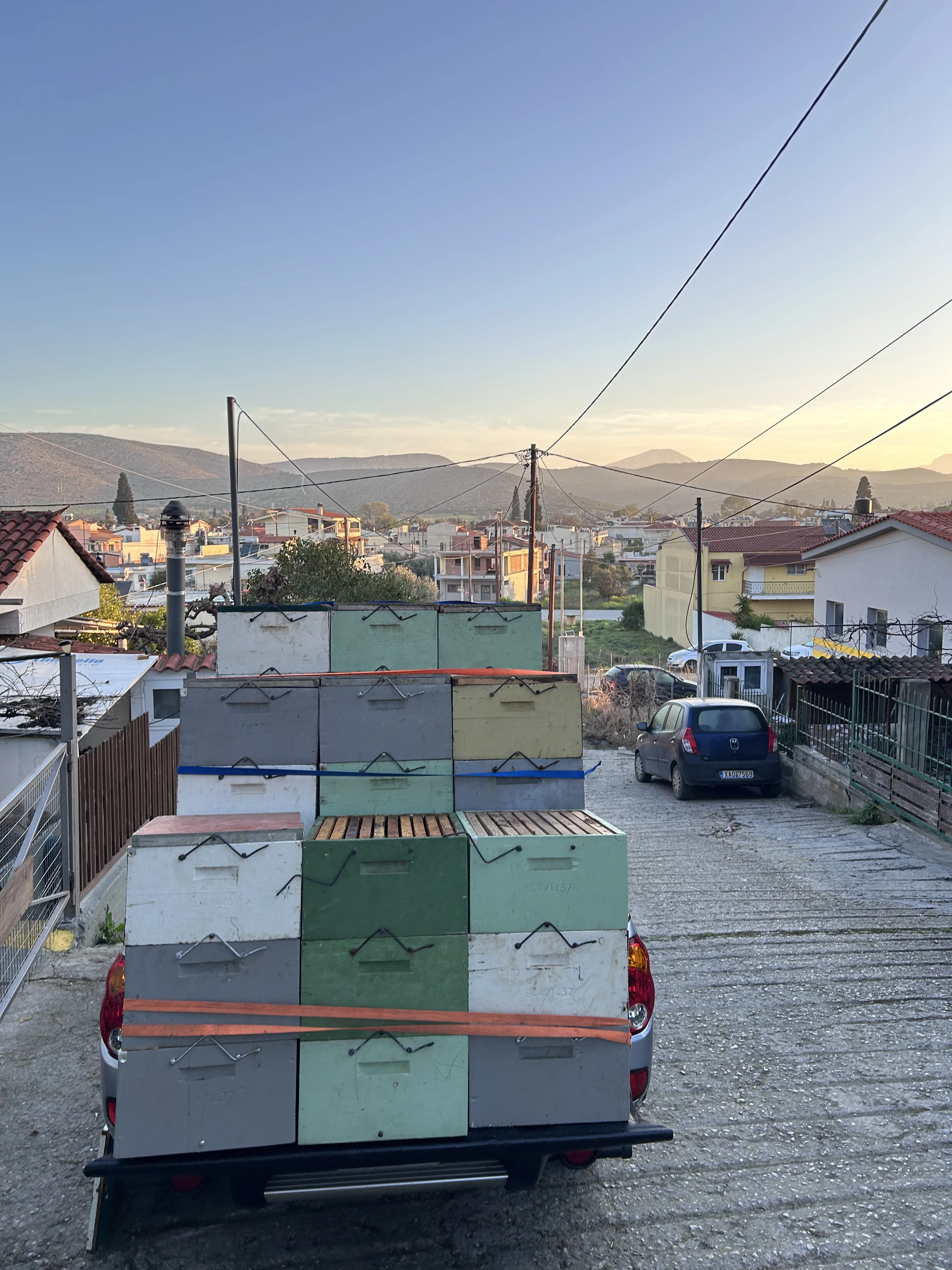 Κυψέλες της Melco Honey σε φυσικό περιβάλλον
