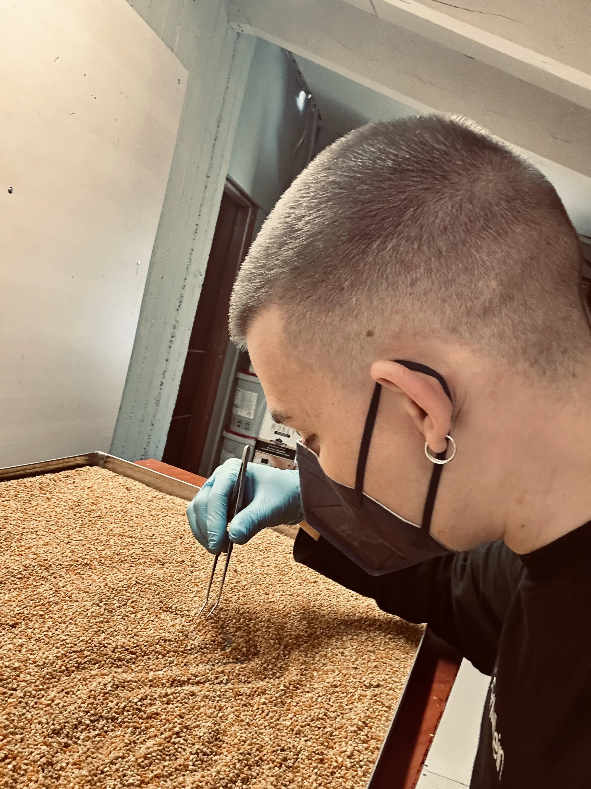 Έλεγχος ποιότητας στην παραγωγή μελιού Melco Honey