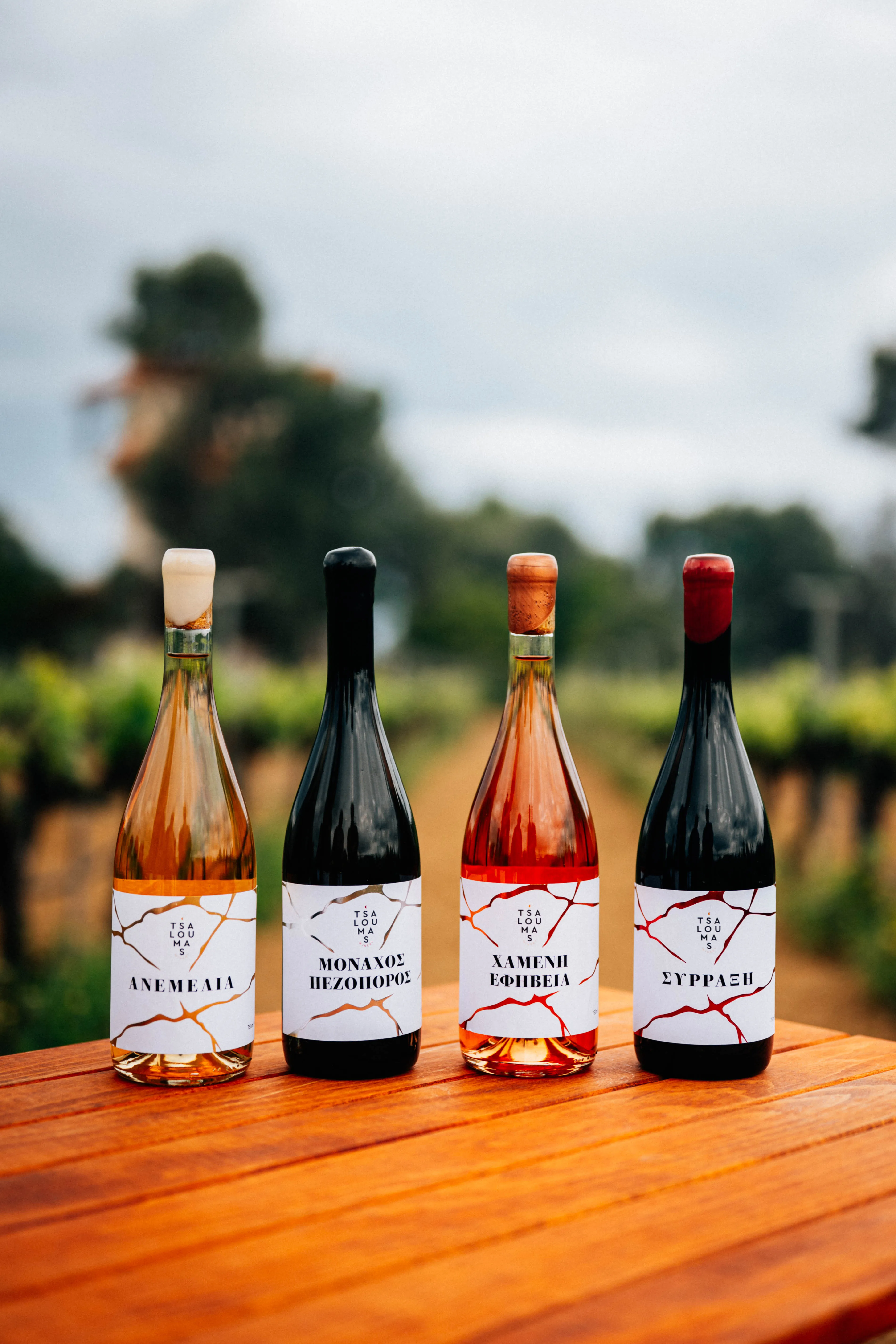Tsaloumas WInery